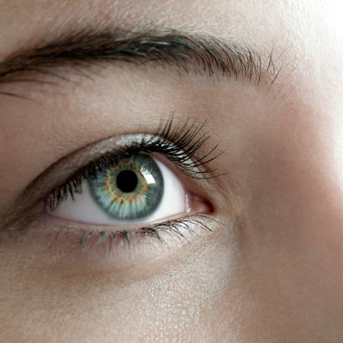 Eye Beauty – by Guest Content Writer Dr. Kasandra Patam, Medical Advisor for Nikua Skin
