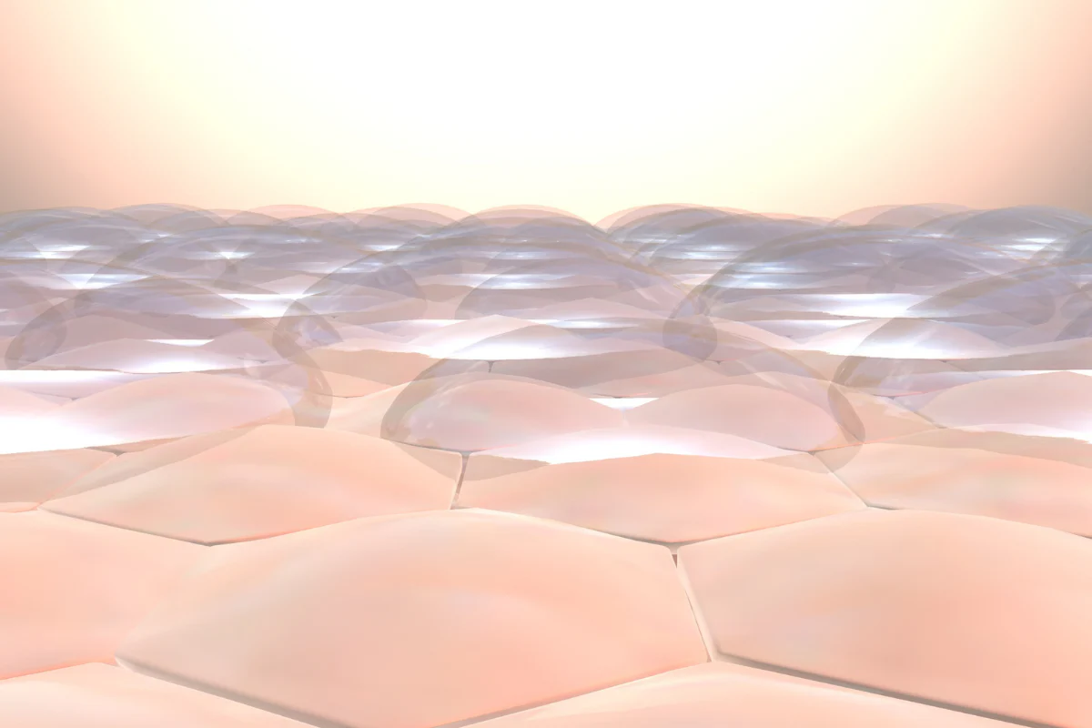 How Skin Stays Hydrated